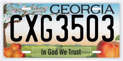 GA license plate CXG3503