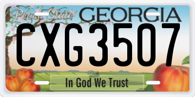 GA license plate CXG3507