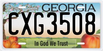 GA license plate CXG3508