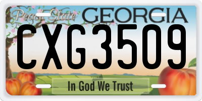 GA license plate CXG3509