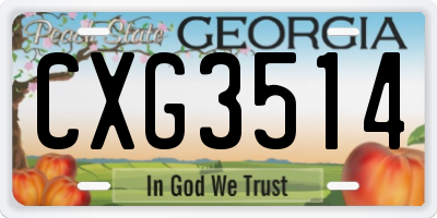 GA license plate CXG3514