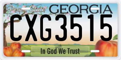 GA license plate CXG3515