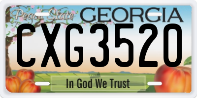 GA license plate CXG3520