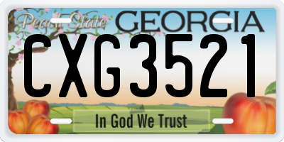 GA license plate CXG3521