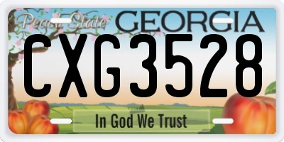 GA license plate CXG3528