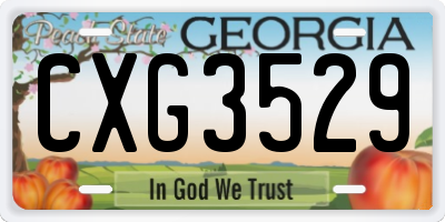 GA license plate CXG3529