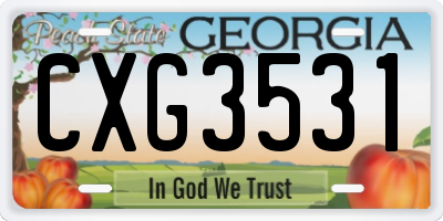 GA license plate CXG3531