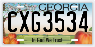GA license plate CXG3534