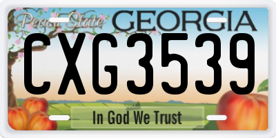 GA license plate CXG3539