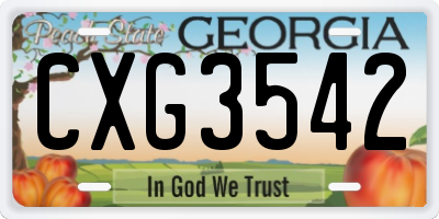 GA license plate CXG3542