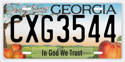 GA license plate CXG3544