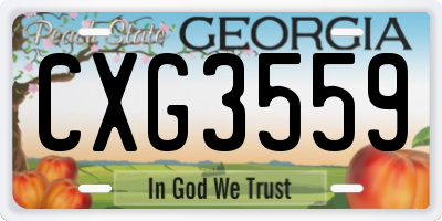 GA license plate CXG3559