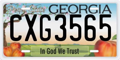 GA license plate CXG3565