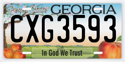 GA license plate CXG3593