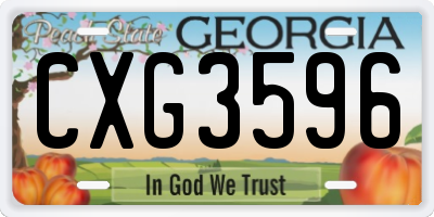 GA license plate CXG3596