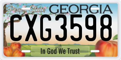 GA license plate CXG3598