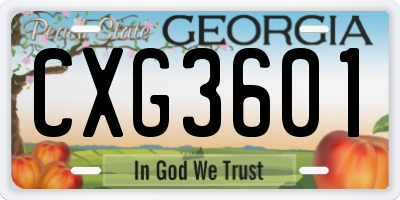 GA license plate CXG3601