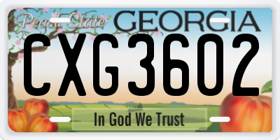 GA license plate CXG3602