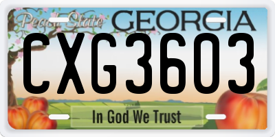 GA license plate CXG3603
