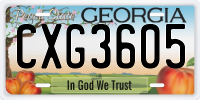 GA license plate CXG3605