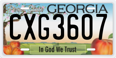 GA license plate CXG3607