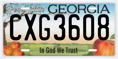 GA license plate CXG3608