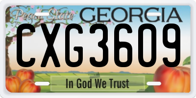GA license plate CXG3609