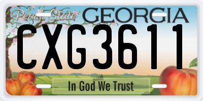 GA license plate CXG3611