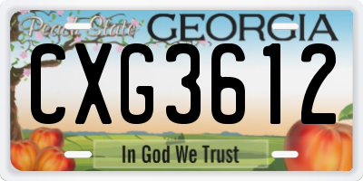 GA license plate CXG3612