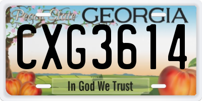 GA license plate CXG3614