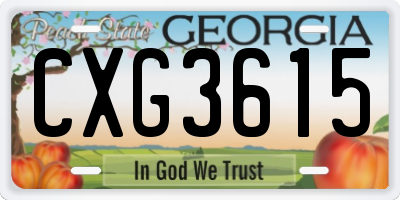 GA license plate CXG3615