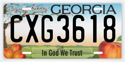 GA license plate CXG3618