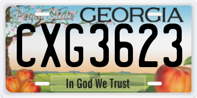 GA license plate CXG3623