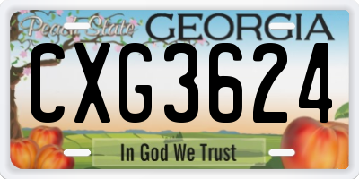 GA license plate CXG3624