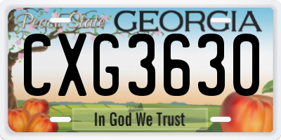 GA license plate CXG3630