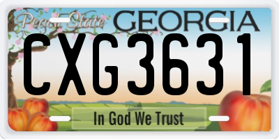 GA license plate CXG3631