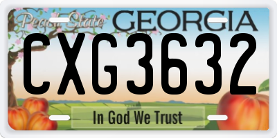 GA license plate CXG3632