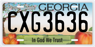 GA license plate CXG3636