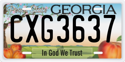 GA license plate CXG3637