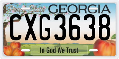 GA license plate CXG3638