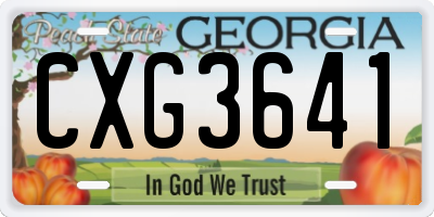 GA license plate CXG3641