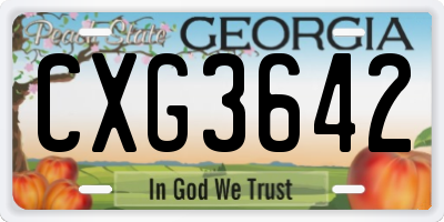 GA license plate CXG3642