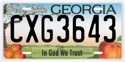 GA license plate CXG3643