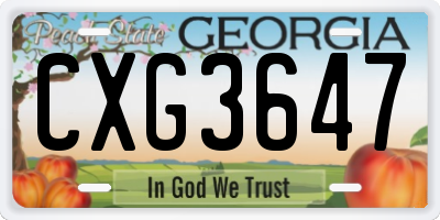 GA license plate CXG3647