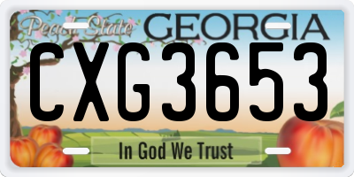 GA license plate CXG3653
