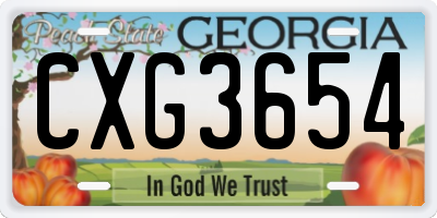 GA license plate CXG3654