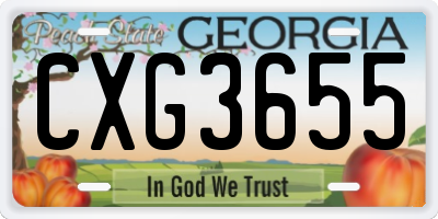 GA license plate CXG3655