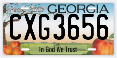GA license plate CXG3656
