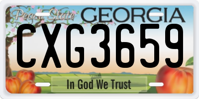 GA license plate CXG3659
