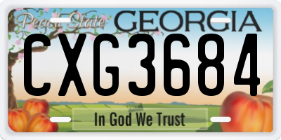 GA license plate CXG3684